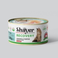 تصویر  کنسرو ریکاوری Shayer مخصوص گربه با طعم مرغ و کدوحلوایی - 200 گرم