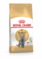 تصویر  غذای خشک Royal Canin مدل British Shorthair مخصوص گربه های بالغ نژاد بریتیش شورت هیر- 2 کیلوگرم