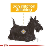 تصویر  غذای خشک Royal Canin مخصوص سگ بالغ مدل DermaComfort مناسب برای سگ هایی با حساسیت پوست و مو - 3 کیلوگرم
