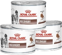 تصویر کنسرو ریکاوری مخصوص سگ و گربه Recovery Royal Canin -وزن  195 گرم