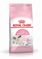 تصویر غذای خشک مخصوص نوزاد گربه و مادر شیرده  Royal Canin مدل First Age Mother & Babycat - 2 کیلوگرم