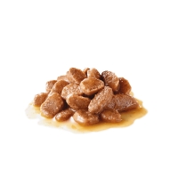 تصویر پوچ Royal canin مخصوص گربه مدل Beauty Gravy