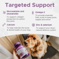 تصویر  قرص SuperDog مدل Joints+Bones  مناسب برای تقویت مفاصل و استخوان ها مخصوص سگ- 60 عددی