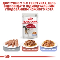 تصویر پوچ Royal Canin مدل INSTINCTIVE در ژلاتین مخصوص گربه بالغ - 85 گرمی