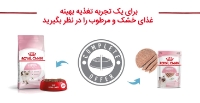 تصویر غذای خشک Royal Canin مخصوص بچه گربه - ۲ کیلوگرم