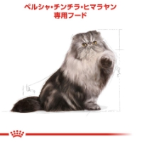 تصویر غذای خشک مخصوص گربه های بالغ پرشین Royal Canin  پرشین - 400 گرمی