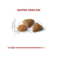 تصویر  غذای خشک Royal Canin مدل Savour Exigent مخصوص گربه های بالغ بد غذا - 4 کیلوگرم