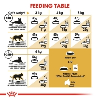 تصویر  غذای خشک Royal Canin مدل Persian Adult مخصوص گربه های بالغ نژاد پرشین - 500 گرمی زیپ کیپ فله