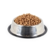 تصویر ظرف Roz Pet مخصوص سگ و گربه مدل استیل سایز - L  