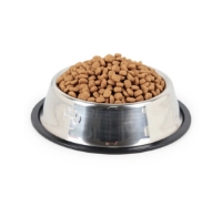 تصویر  ظرف Roz Pet مخصوص سگ و گربه مدل استیل سایز - M  