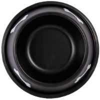 تصویر ظرف استیل Roz Pet مدل Black Cat سایز - 16 سانتی متر  