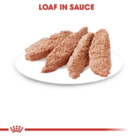 تصویر  پوچ Royal Canin مدل Sterilised Loaf مخصوص گربه بالغ عقیم شده - 85 گرم