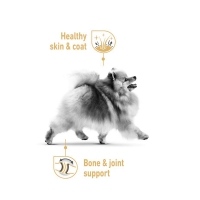 تصویر  پوچ Royal Canin مدل Pomeranian مخصوص سگ بالغ نژاد پامرانین - 85 گرم