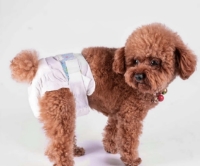 تصویر پوشک TaoTao Pets مخصوص سگ سایز M  چهار تا ده کیلوگرم - بسته ده عددی