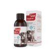 شربت پروبیوتیک Biofeline مخصوص سگ و گربه - 100 میلی لیتر