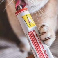 مولتی ویتامین خمیری GimCat مدل Multivitamin Paste Extra مناسب برای تقویت سیستم ایمنی مخصوص گربه - 50 گرم