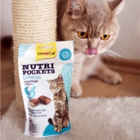 تصویر  تشویقی بالشتی مغزدار دنتال GimCat مدل Dental Nutri Pockets تهیه شده از مرغ برای سلامت و کاهش جرم دندان مخصوص گربه - 60 گرم