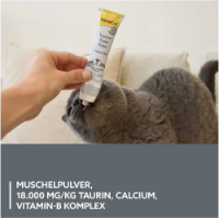 خمیر تورین GimCat مدل Taurine Paste Extra مخصوص گربه مناسب برای بهبود عملکرد قلب و بینایی - 50 گرم