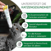 خمیر گسترو GimCat مدل Gastro Intestinal Paste مخصوص گربه مناسب برای بهبود مشکلات گوارشی - 50 گرم