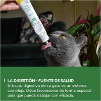 خمیر گسترو GimCat مدل Gastro Intestinal Paste مخصوص گربه مناسب برای بهبود مشکلات گوارشی - 50 گرم