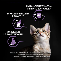 غذای خشک ProPlan مدل Kitten - Healthy Start تهیه شده از مرغ مخصوص بچه گربه - 1/5 کیلوگرم