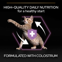 غذای خشک ProPlan مدل Kitten - Healthy Start تهیه شده از مرغ مخصوص بچه گربه - 1/5 کیلوگرم