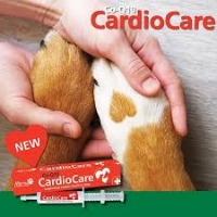 مکمل خمیری تقویت قلب Mervue مدل Cardio Care مخصوص سگ - 30 میلی لیتر