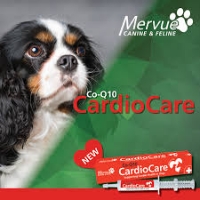 مکمل خمیری تقویت قلب Mervue مدل Cardio Care مخصوص سگ - 30 میلی لیتر