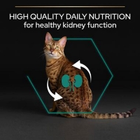 غذای خشک ProPlan مدل Renal Plus تهيه شده از مرغ مخصوص گربه های بالغ برای حفظ سلامت کلیه - 10 كيلوگرم