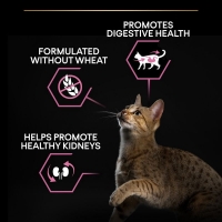 غذای خشک ProPlan مدل Delicate Digestion تهيه شده از گوشت بره مخصوص گربه های بالغ بد غذا - 10 كيلوگرم