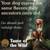 غذای خشک Taste of the Wild مخصوص سگ های بالغ نژاد كوچک تهيه شده از گوشت گوزن و نخود - 2 كيلوگرم
