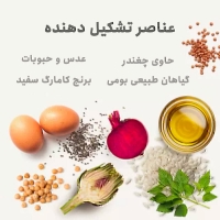 غذای خشک Babin مدل Sterilized تهيه شده از سالمون مخصوص گربه عقیم شده - 1.5 كيلوگرم