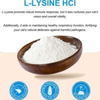 تصویر  پودر Oimmal مدل L-Lysine Immune Support مناسب تقويت سيستم ايمنی مخصوص گربه - 120 گرم