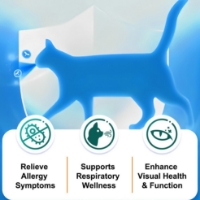 تصویر  پودر Oimmal مدل L-Lysine Immune Support مناسب تقويت سيستم ايمنی مخصوص گربه - 120 گرم