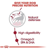 غذای خشک Royal Canin مدل Medium Adult مخصوص سگ های بالغ نژاد متوسط - 500 گرم (زیپ کیپ فله)