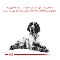 غذای خشک Royal Canin مدل Hypoallergenic برای کنترل آلرژی غذایی مخصوص سگ - 14 كيلوگرم
