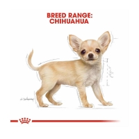 تصویر  غذای خشک Royal Canin مدل Chihuahua Puppy مخصوص توله سگ های نژاد شی هوا هوا - 1/5 كيلوگرم