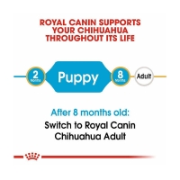 تصویر  غذای خشک Royal Canin مدل Chihuahua Puppy مخصوص توله سگ های نژاد شی هوا هوا - 1/5 كيلوگرم