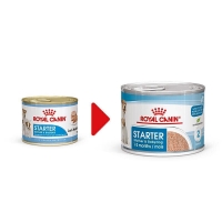 کنسرو Royal Canin مدل Starter مخصوص توله سگ ها و مادران شیرده - 195 گرم