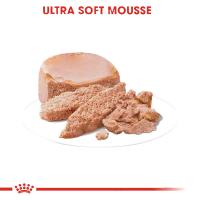 کنسرو Royal Canin مدل Starter مخصوص توله سگ ها و مادران شیرده - 195 گرم