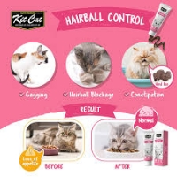 تصویر  خمير مالت Kit Cat مدل Anti-Hairball مخصوص گربه - 120 گرم