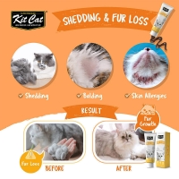 تصویر  خمير Kit Cat مدل Skin & Coat مخصوص گربه برای تقویت پوست و مو - 120 گرم