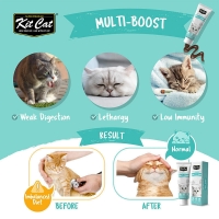 تصویر  خمير Kit Cat مدل Multi-Vitamin مخصوص گربه - 120 گرم