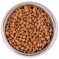عکس غذای خشک Monge مدل Kitten تهيه شده از ماهی مخصوص بچه گربه - 1/5 كيلوگرم