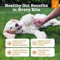 عکس مكمل Zesty Paws مدل Probiotic Bite برای سلامت دستگاه گوارش با طعم مرغ مخصوص سگ - 90 عدد