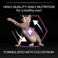 عکس غذای خشک Pro Plan مدل Kitten تهيه شده از مرغ مخصوص بچه گربه - 1/5 كيلوگرم