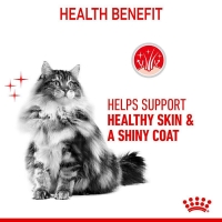 عکس غذای خشک Royal Canin مدل Hair & Skin تقويت كننده پوست و مو مخصوص گربه - 500 گرم (زیپ کیپ فله)