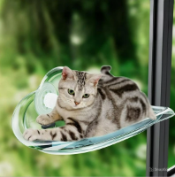 عکس جای خواب پنجره ای مدل شفاف طلقی مخصوص گربه - بی رنگ